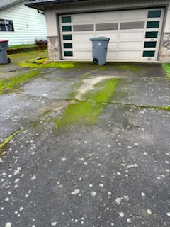 House garage driveway with moss on concrete
