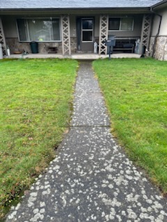 Walkway to house with stained concrete and grass